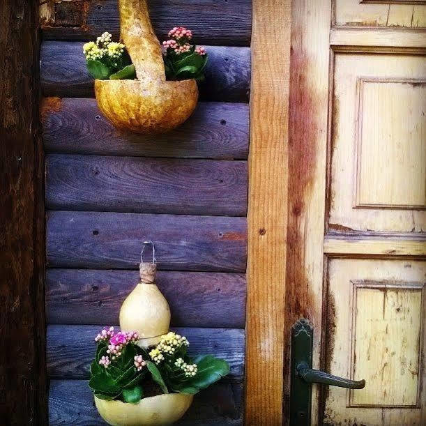 Hibou Chambres - Конье Экстерьер фото